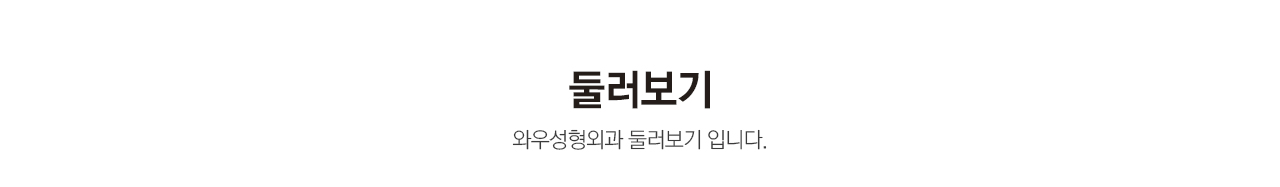 왼쪽으로